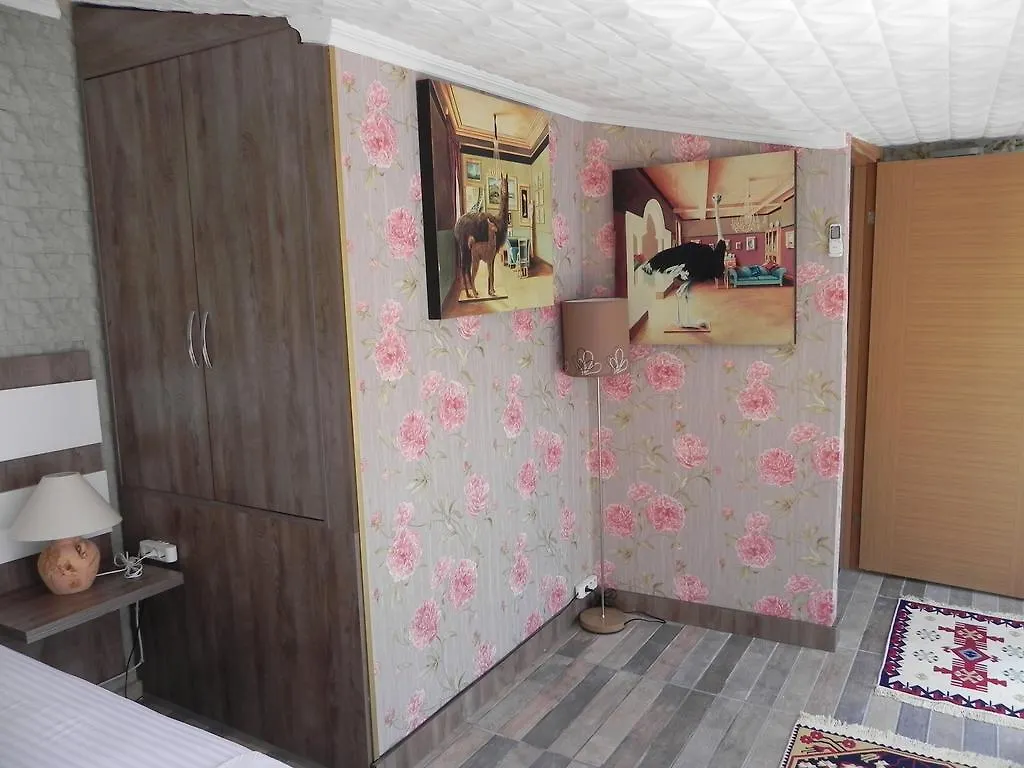 Oda ve Kahvaltı Gulhane House İstanbul